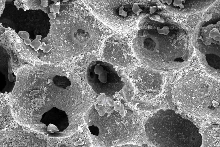 maxresorb_inject_sem